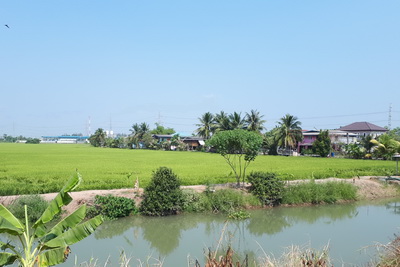 river in ayutthaya